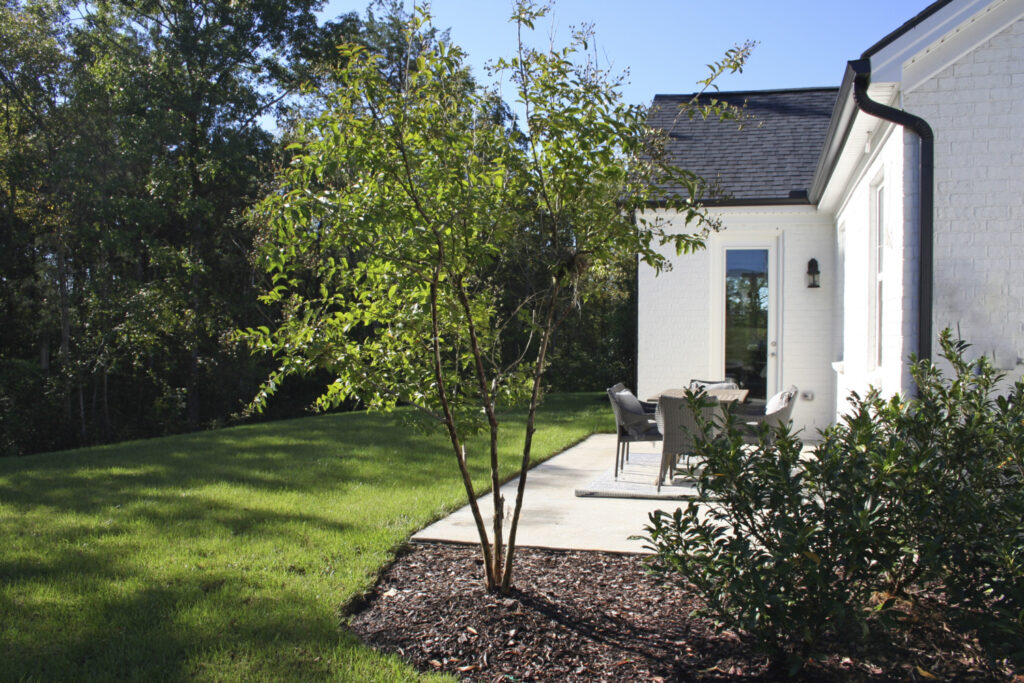 A backyard with a tree line in Lochridge