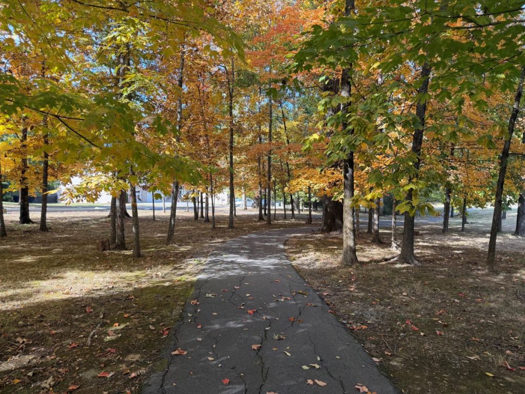 one of the many walking trails in Nolen Park