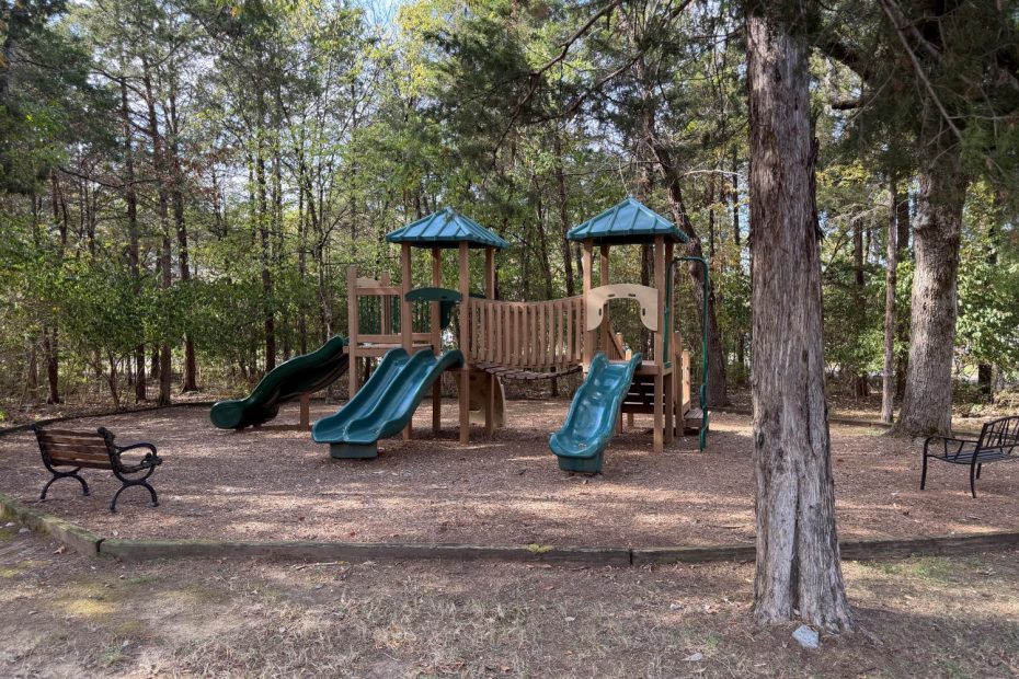 The playground at the Nolen Park neighborhood in Nolensville as shared by Nolensville REALTOR Noelle Tabor